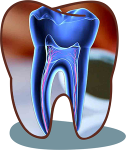 dental clinic in viman nagar